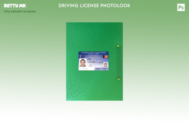 Модерен стил, преден шаблон со фото изглед за возачка дозвола на северната терит